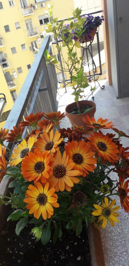 Your Nest In Trastevere Rom